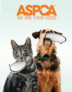 ASPCA We Are Their Voice image